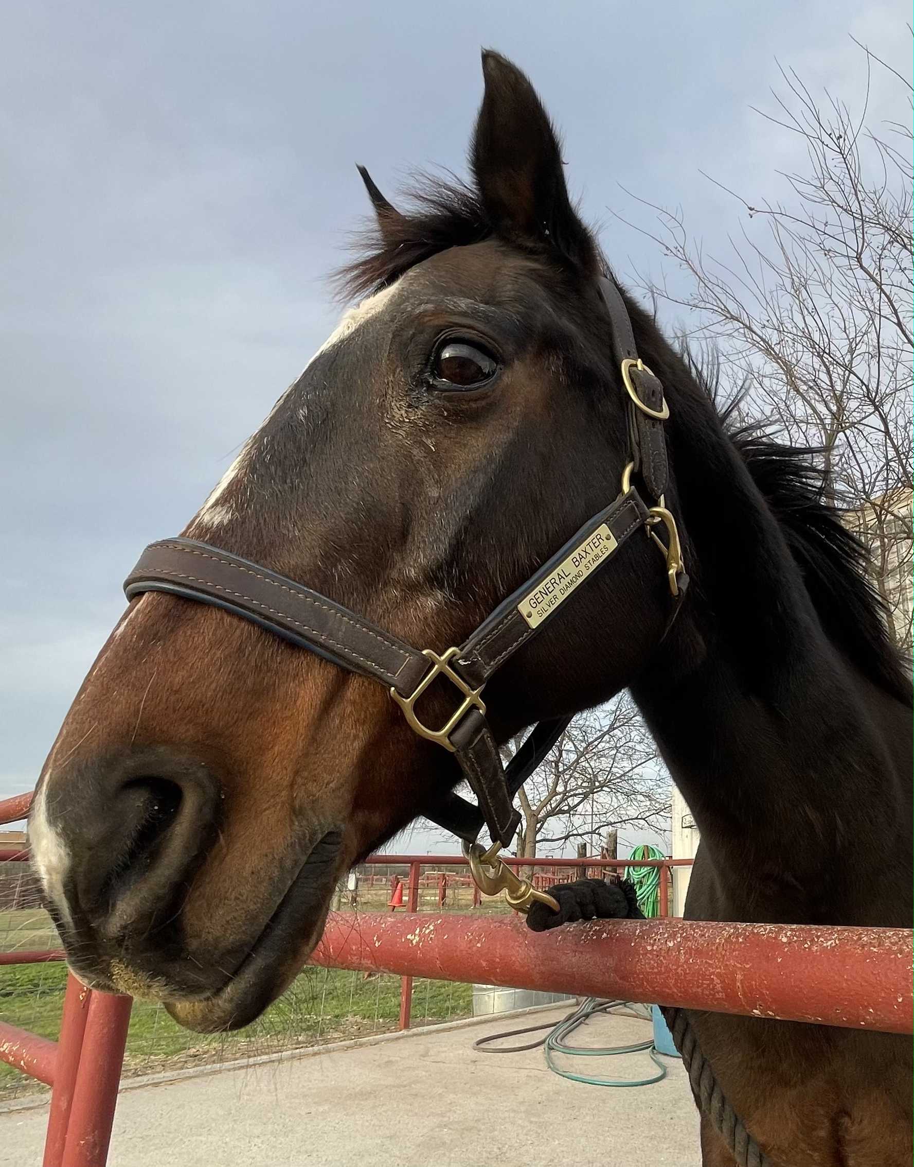 Foundation Gallery Image