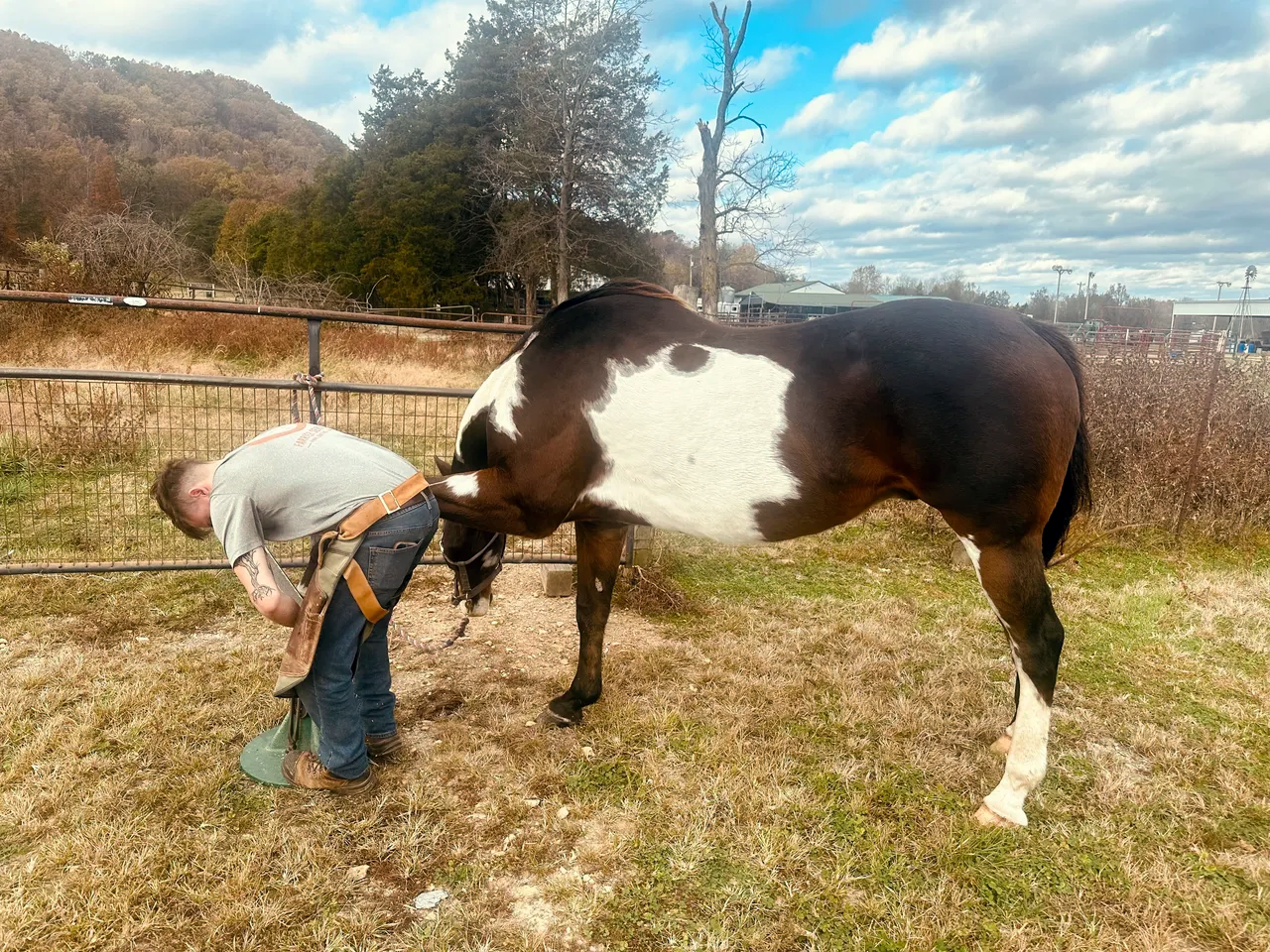 Foundation Gallery Image