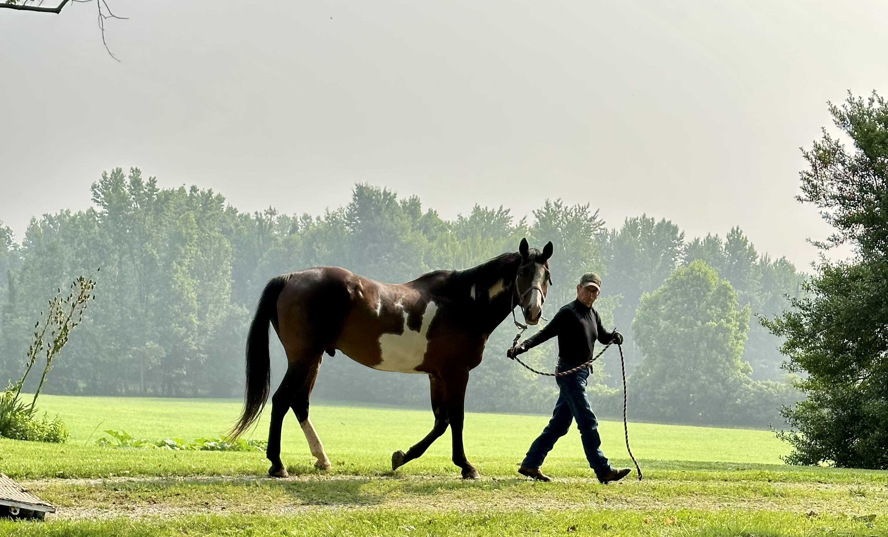 Foundation Gallery Image
