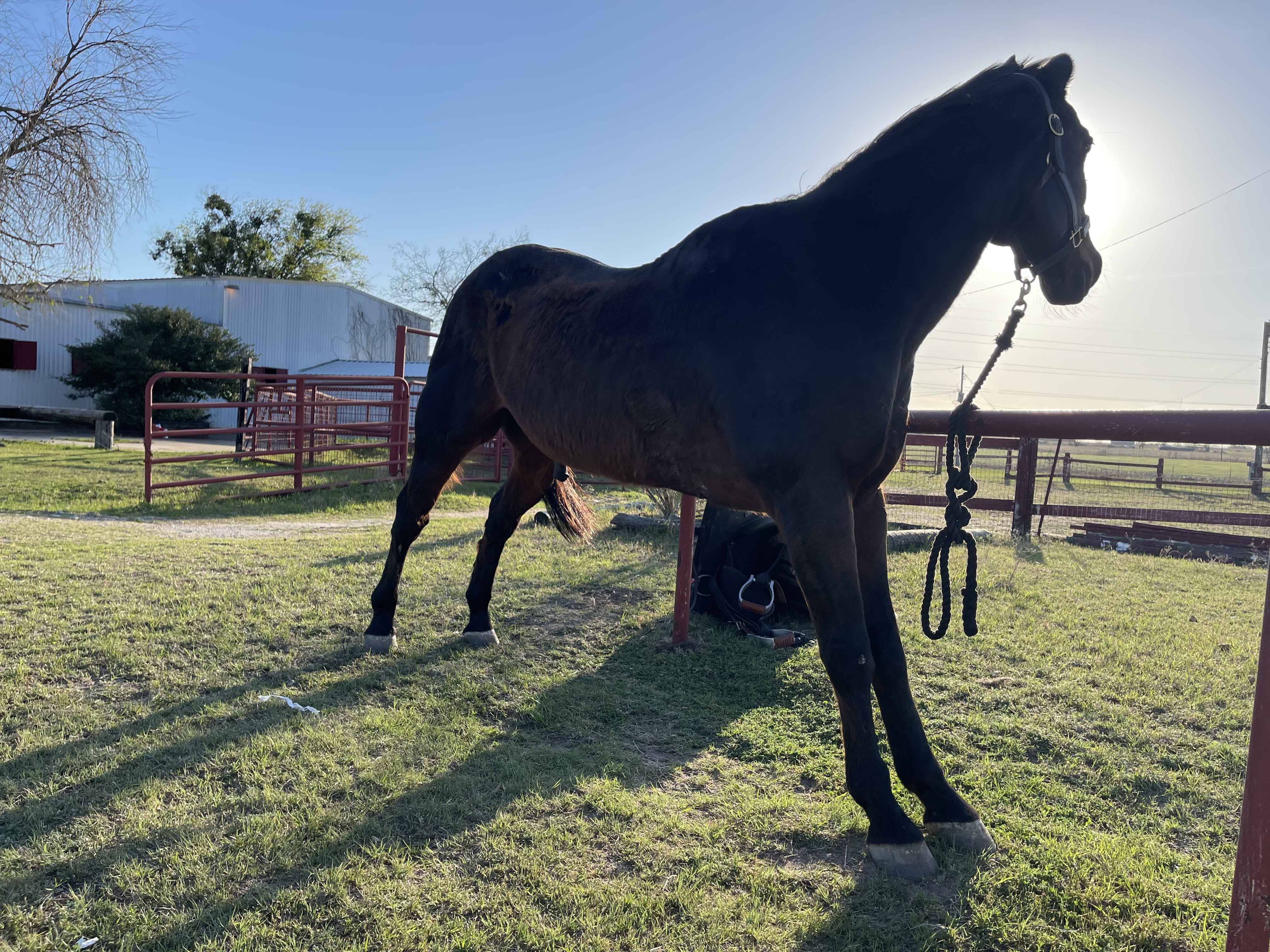 Foundation Gallery Image